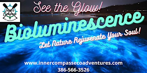 Bioluminescence Paddle Tour