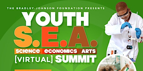 The Bradley-Johnson Foundation Youth  Science•Economics•Arts Summit