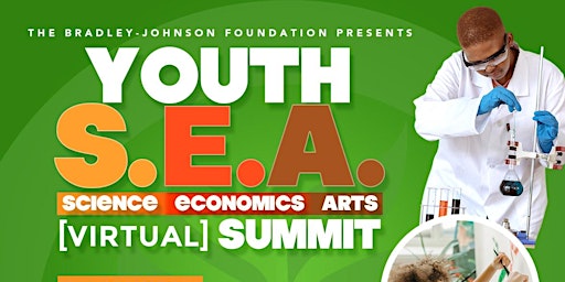 The Bradley-Johnson Foundation Youth  Science•Economics•Arts Summit