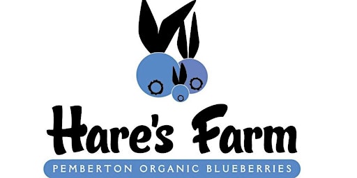 Hare's Farm Bulk Organic Blueberry Sale - 2022