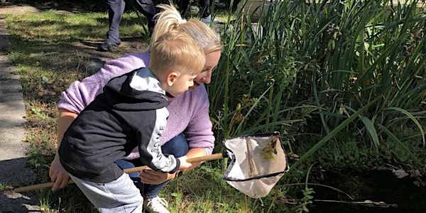 Pond Dipping for the Under 7's at Wellsway School