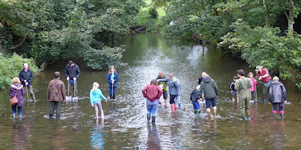 River Dipping for the over 7's on the River Chew in Keynsham