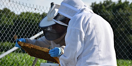 Assessing the Economic Viability of a Backyard Beekeeping Practice tickets