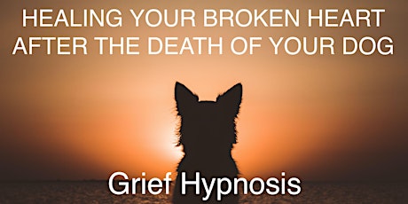 Healing Hypnotherapy for the Loss of your Dog tickets