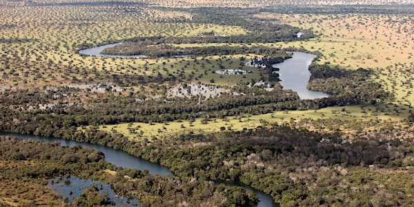 June 2017: Saving Brazil's cerrado (Berkeley)