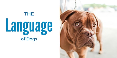 The Language of Dogs - Canine Body Language and Other Communication Signals  primary image