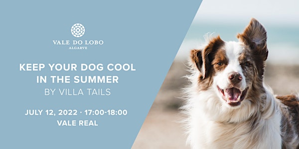 Keep your dog cool in the summer