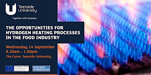 TVHIP: Opportunities for Hydrogen Heating Processes in the Food Industry