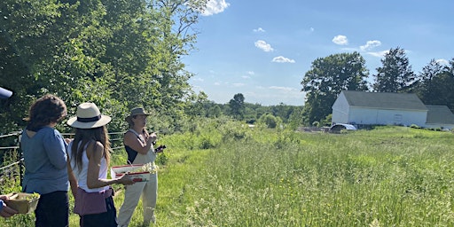 Regenerative Farming in the Valley primary image