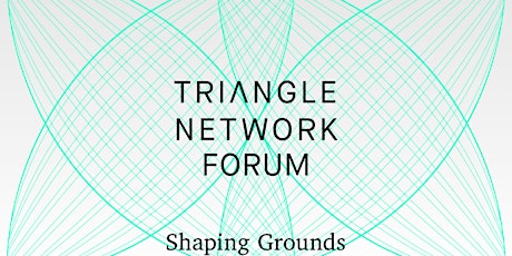 Triangle Network Forum: Maintenance primary image