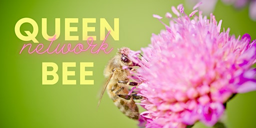 Queen Bee Network Social