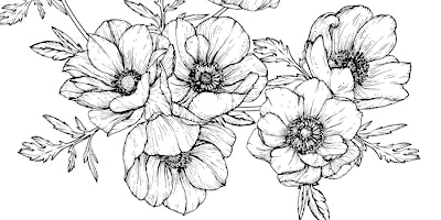 Beginning Botanical Art and Illustration              with Celeste Johnston