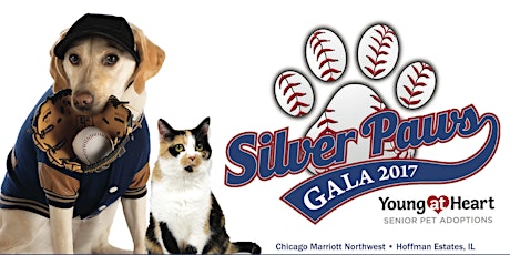 Silver Paws 2017 * Play Ball! primary image