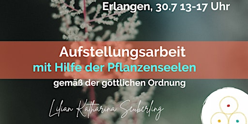 Aufstellungsarbeit mit Hilfe der Pflanzenseelen in Erlangen
