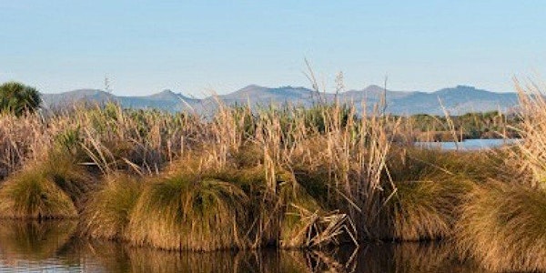Walk around Travis Wetland: Environment and Climate