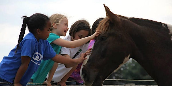 15th Annual Helping Horses Help Kids and Others