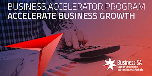 Business Accelerator Program | How to accelerate business growth