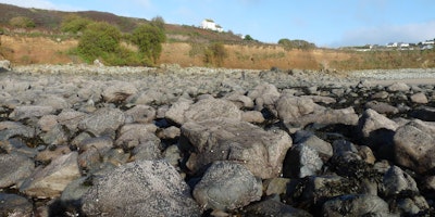 Capturing Our Coast Survey Day - Gylly Beach, Falmouth
