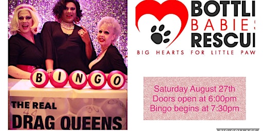 Bottle Babies Rescue Drag Queen Bingo Extravaganza!