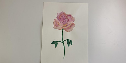 Watercolour Workshop - Single Rose