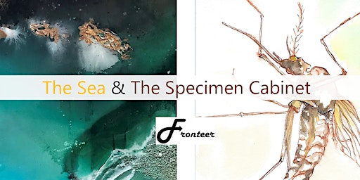 Private View - The Sea and The Specimen Cabinet