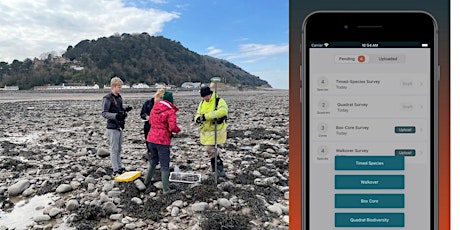 Using Apps to Survey the Sea Shore – a Beginner's Guide