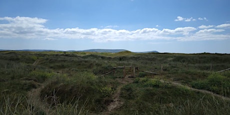 Pembrey – Site introduction, intro to sand dune ecology and citizen science tickets