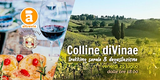 Colline diVinae - Trekking & Degustazione
