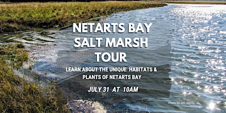Summer Salt Marsh Tour tickets