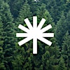 Logotipo da organização Better Place Forests