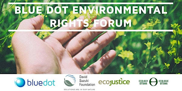 Rights & responsibility: public forum on environmental rights in Canada