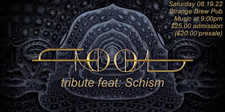 Tool tribute feat: Schism