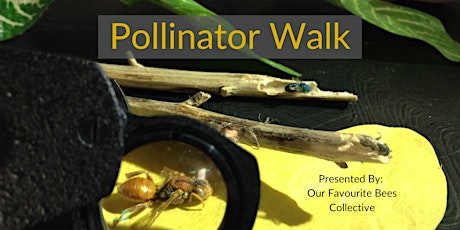 Pollinator Walk - An Our Favourite Bees Collective Event tickets