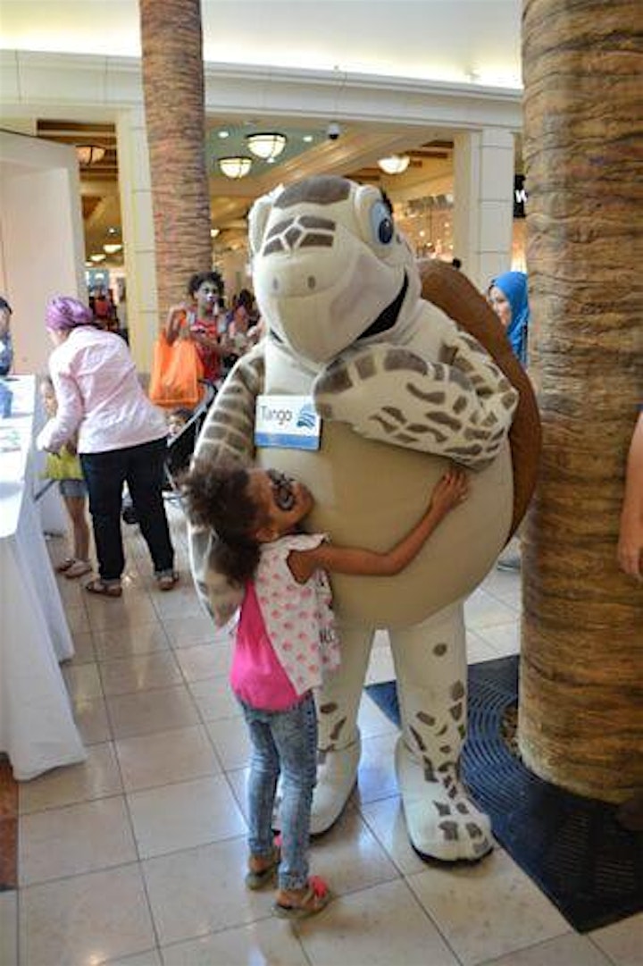 Tampa Bay's Largest Back to School Fair image