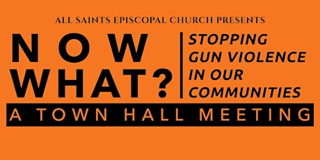 Now What? Stopping Gun Violence in our Communities (In-Person Attendance)