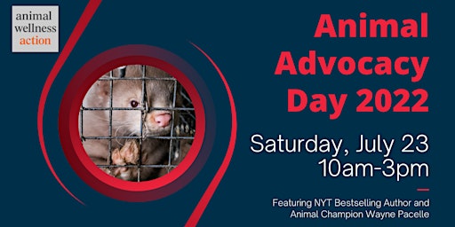Animal Advocacy Day