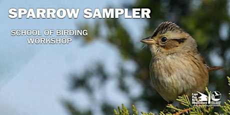Sparrow Sampler