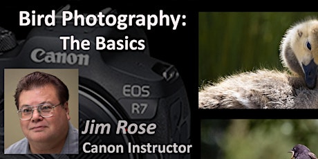Bird Photography: The Basics - 3 Part In Person Workshop - Roseville, CA tickets