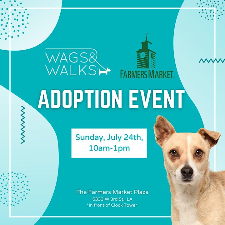 Wags & Walks Adoption Event image