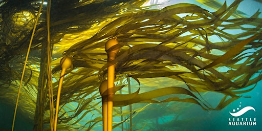 Lightning Talks: Kelp