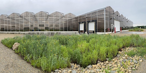 Tour of Agrecol - A native seed and plant nursery