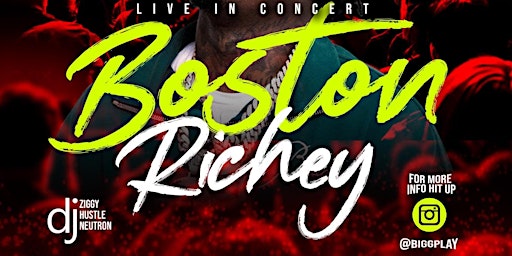 Boston Richey Live in Concert