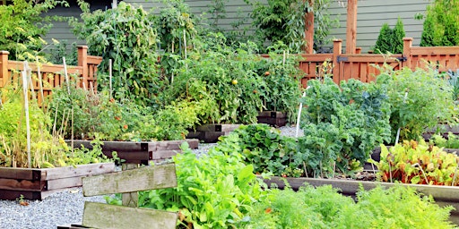 Westmeadows - Let’s Grow Hume Edible Gardening