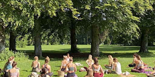 Yoga Picknick