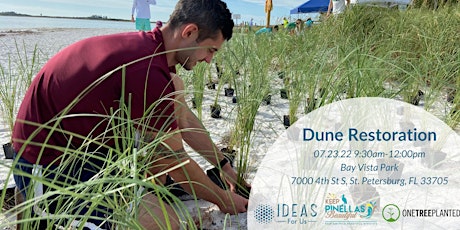 Dune Restoration Planting