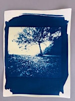 Free Sun Printing - Cyanotypes at Photoworks