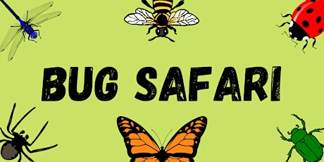 Bug Safari at Fanshawe Conservation Area
