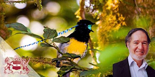 Jared Diamond on the Marvel of New Guinea Birds
