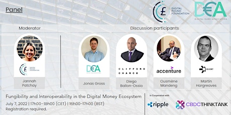 Fungibility and Interoperability in the Digital Money Ecosystem tickets