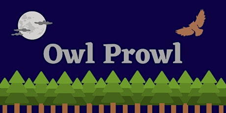 Owl Prowl at Fanshawe Conservation Area